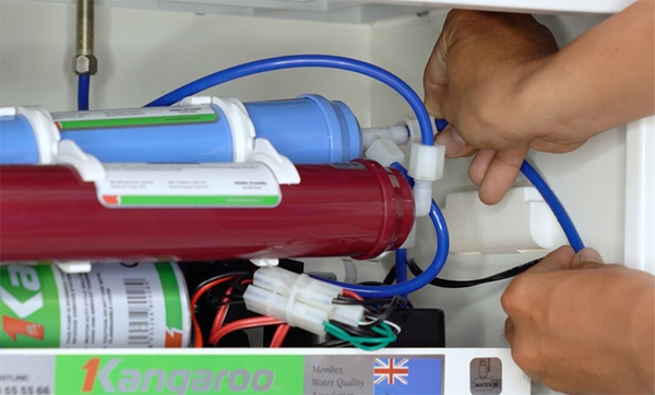 Dây dẫn nước bị côn trùng hoặc động vật cắn