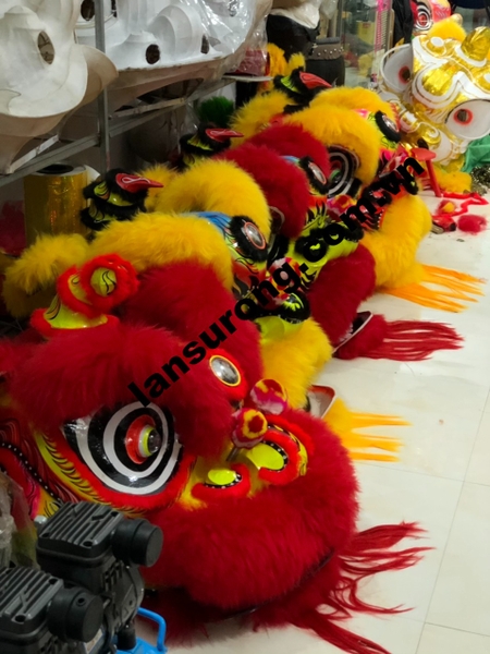 Mẫu lân sư rồng mới