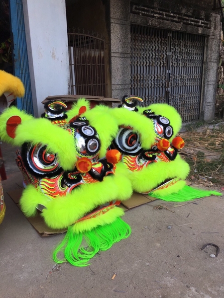 Lân Mengkok màu vàng- mẫu lân mới