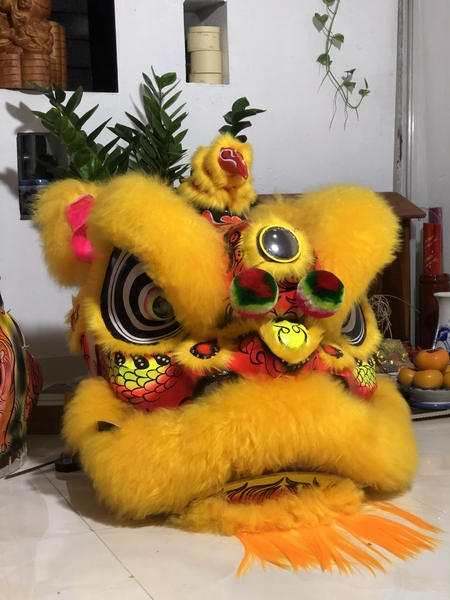 Lân miệng dảnh lông cừu vàng đẹp giá rẻ