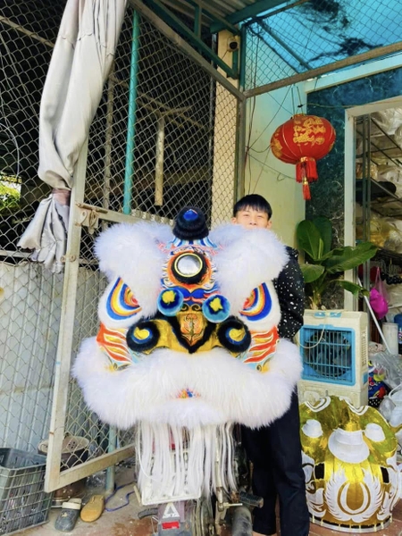 ĐẦU LÂN LÔNG CỪU MÀU TRẮNG