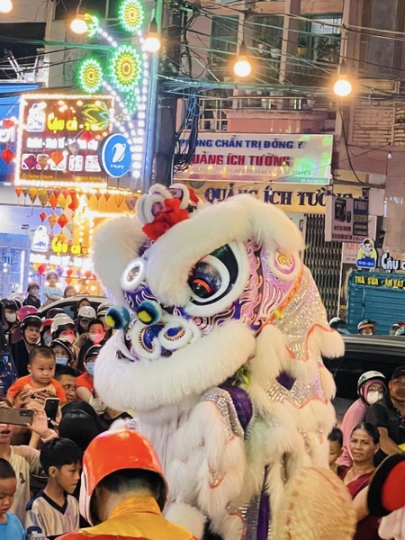 ĐẦU LÂN LÔNG CỪU MÀU TRẮNG