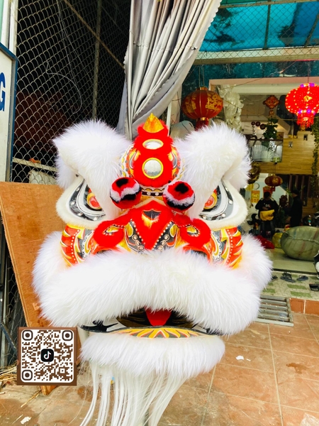 ĐẦU LÂN LÔNG CỪU MÀU TRẮNG