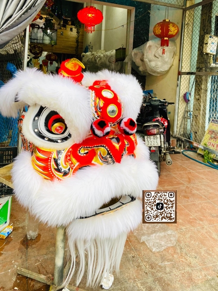 ĐẦU LÂN LÔNG CỪU MÀU TRẮNG