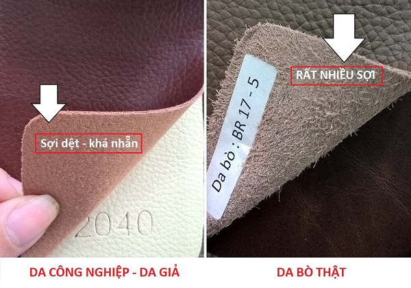 so sánh sofa văng