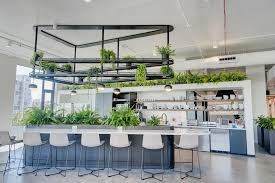 Biophilic Design 