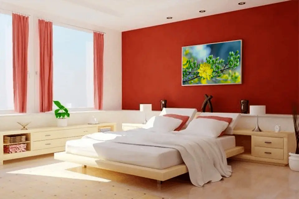 Lựa Chọn Bảng Màu Nổi Bật Đậm Chất Tết