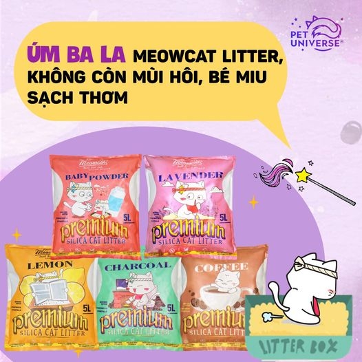 MEOWCAT LITTER - ÚM BA LA MEOWCAT LITTER, KHÔNG CÒN MÙI HÔI, BÉ MIU SẠCH THƠM