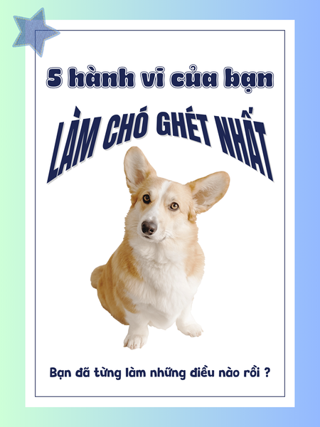 5 hành vi của bạn làm chó ghét