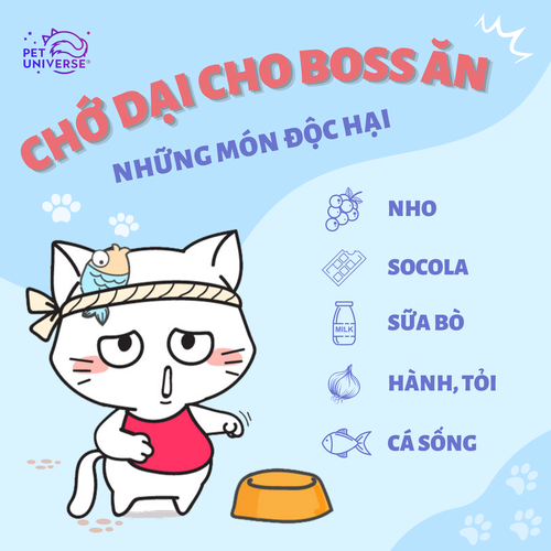 30/12 - CHỚ DẠI CHO BOSS ĂN NHỮNG MÓN ĐỘC HẠI