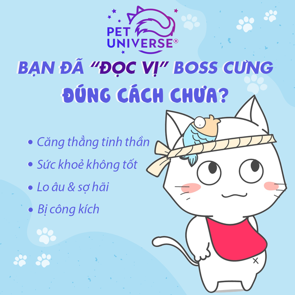 5/1 - BẠN ĐÃ 