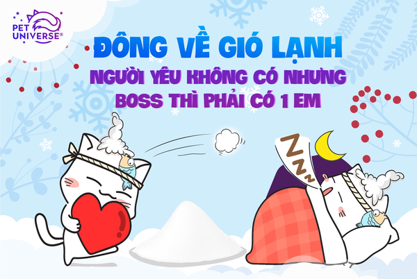 12/1 - ĐÔNG VỀ GIÓ LẠNH, NGƯỜI YÊU KHÔNG CÓ NHƯNG BOSS THÌ PHẢI CÓ 1 EM