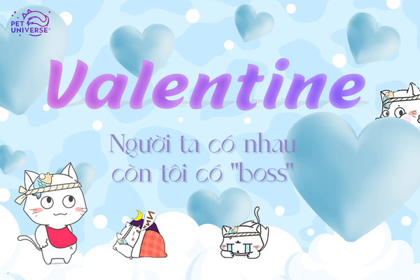 [TƯƠNG TÁC] VALENTINE AI ĐÓ CÓ ĐÔI, CÒN TÔI CÓ BOSS