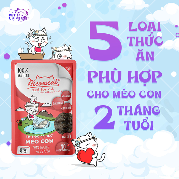 23/2 - 5 LOẠI THỰC PHẨM NÊN CHO MÈO CON ĂN ĐỂ ĐỦ DINH DƯỠNG