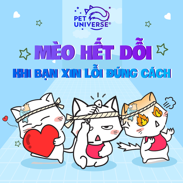 9/12 - MÈO HẾT DỖI KHI BẠN 