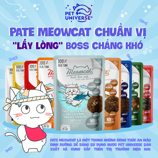 19/11 - [PR PATE] PATE MEOWCAT CHUẨN VỊ - 