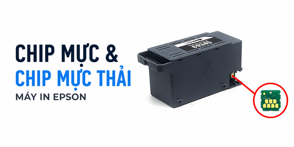Chip mực và chip mực thải là gì?