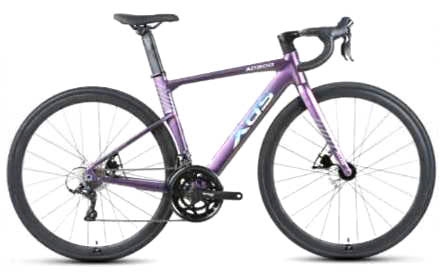 Xe đạp đua XDS AD300 | Bike2School - Hệ thống bán lẻ xe đạp