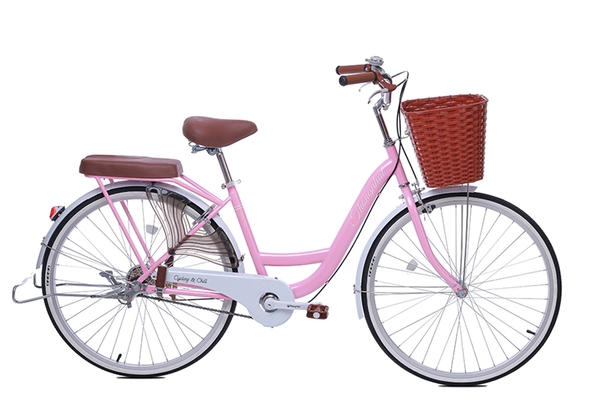 Xe đạp mini Thống Nhất NEW 26