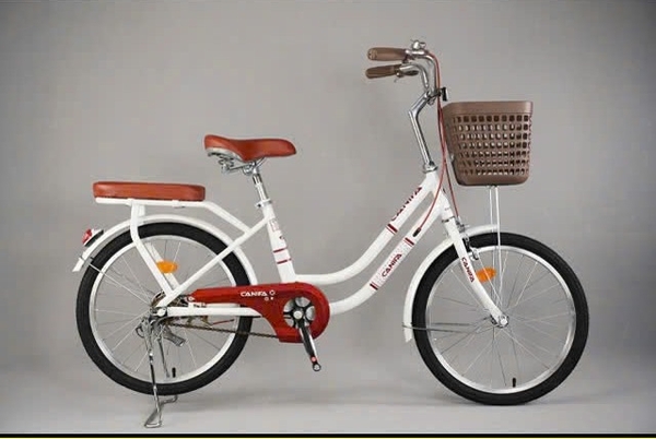 Xe đạp mini Canifa Y500 20 inch