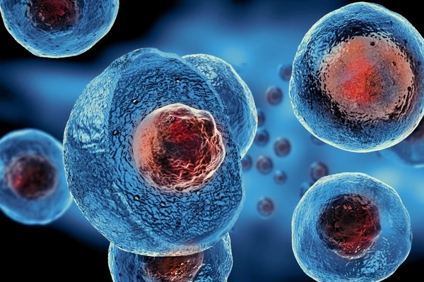 Ứng dụng của công nghệ tế bào gốc trong y học