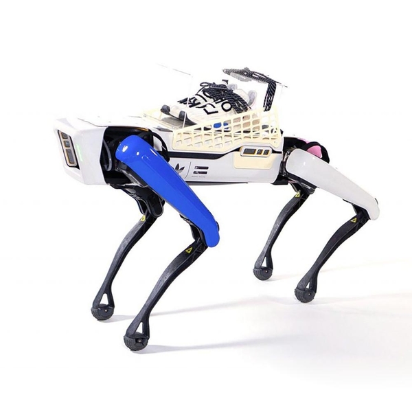 adidas human race cream