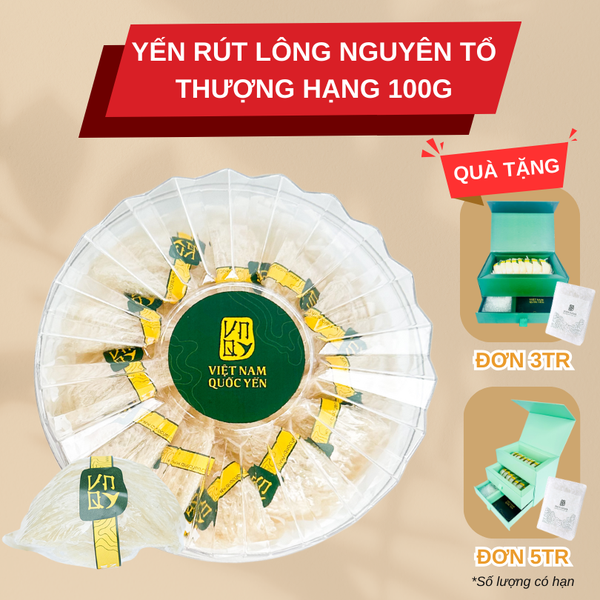 Tổ yến rút lông nguyên tổ thượng hạng 100g - Việt Nam Quốc Yến