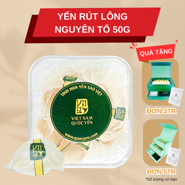 Tổ yến rút lông nguyên tổ 50g - Việt Nam Quốc Yến