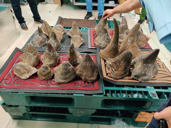 Cộng đồng và trách nhiệm bảo vệ Tê giác