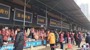 Trung Quốc kiểm soát chặt buôn bán động vật hoang dã sau thảm họa corona