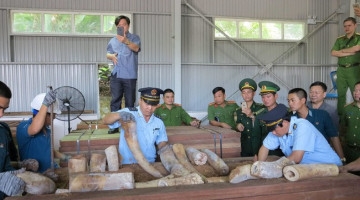 5 cách góp phần giảm thiểu nạn buôn bán động vật hoang dã