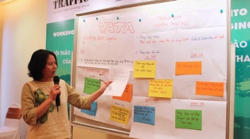 Rủi ro trong kinh doanh liên quan đến việc buôn bán trái phép động, thực vật hoang dã