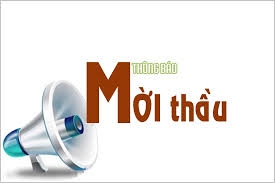 Thư mời chào hàng gói thầu “In Báo cáo Chỉ số Thương mại điện tử Việt Nam năm 2017”