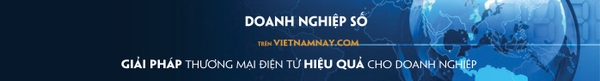 Giới thiệu về Doanh nghiệp số của Vietnamnay