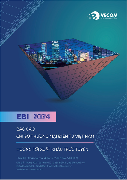 Báo cáo Chỉ số Thương mại điện tử Việt Nam _ EBI 2024