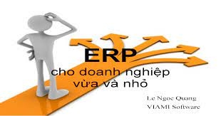 VIAMI Software và ERP dịch vụ tư
