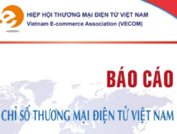 TP.HCM và Hà Nội tiếp tục dẫn đầu về chỉ số thương mại điện tử Việt Nam