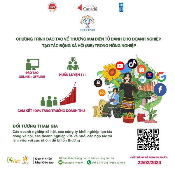 iViet - Chương trình đào tạo về Thương mại điện tử dành cho Doanh nghiệp tạo tác động xã hội (SIB)