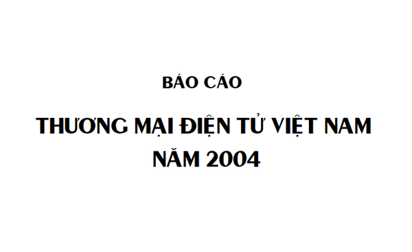 Vietnam E-commerce Report 2004