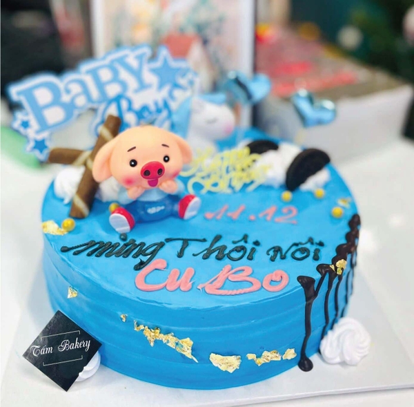 Bánh Kem Hình Tròn T000298
