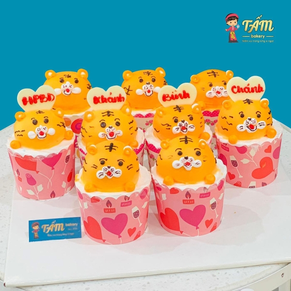 Set T4782025