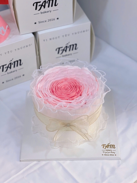 Bánh kem T2122025