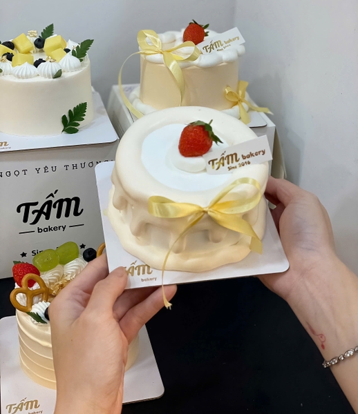 Bánh kem T8572025