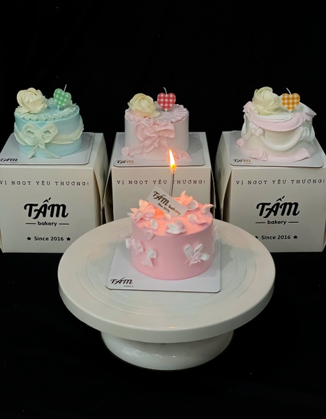 Bánh kem T8852025