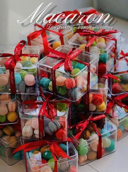 Macaroon mini