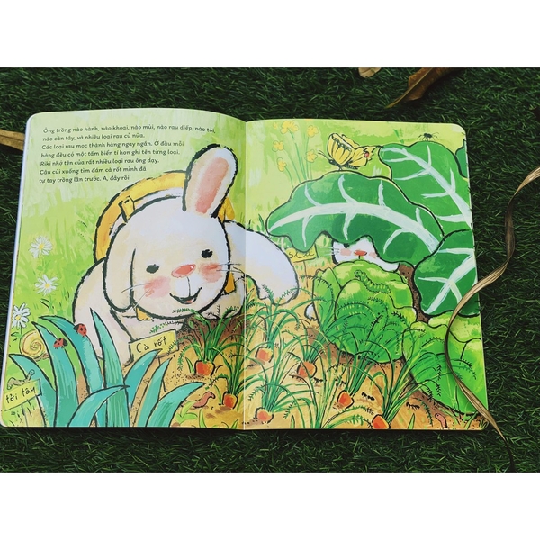 Bộ Chuyện về chú thỏ cool nhất Hà Lan - Thỏ Riki [Nhã Nam]