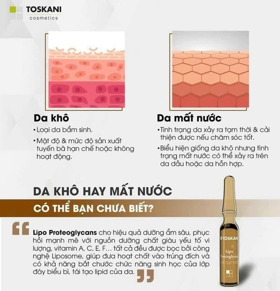 TOSKANI Proteoglicans FC Plus: Ampoule Phục Hồi Ma Trận Ngoại Bào & Căng Bóng Da Tức Thì