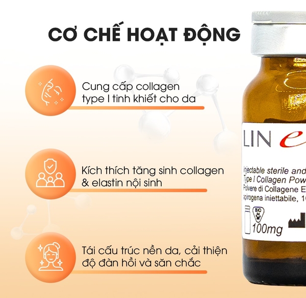 LINERASE COLLAGEN: ĐỈNH CAO TRẺ HÓA SINH HỌC CHUẨN Y KHOA TỪ CHÂU ÂU