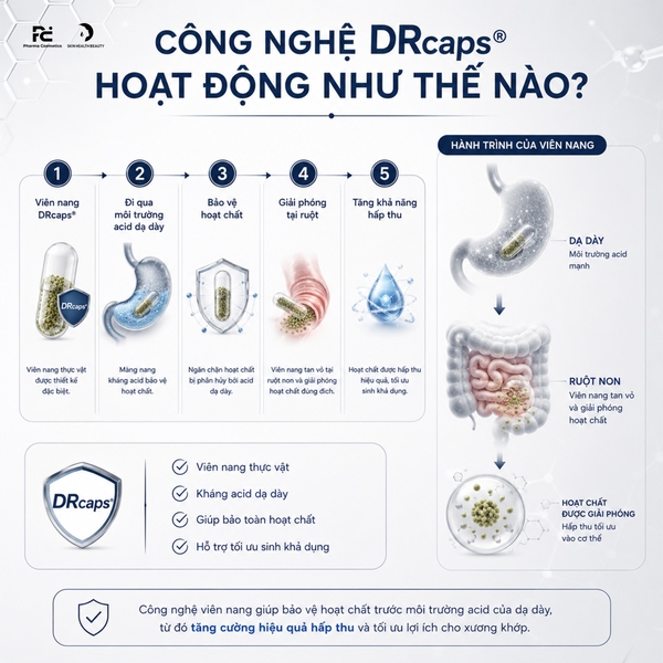 Viên Uống Artichondrine Plus® Evolution – Hỗ Trợ Bảo Vệ Xương Khớp Và Duy Trì Độ Linh Hoạt Cho Cơ Thể