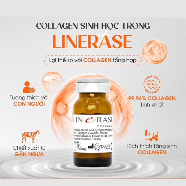 LINERASE COLLAGEN: ĐỈNH CAO TRẺ HÓA SINH HỌC CHUẨN Y KHOA TỪ CHÂU ÂU